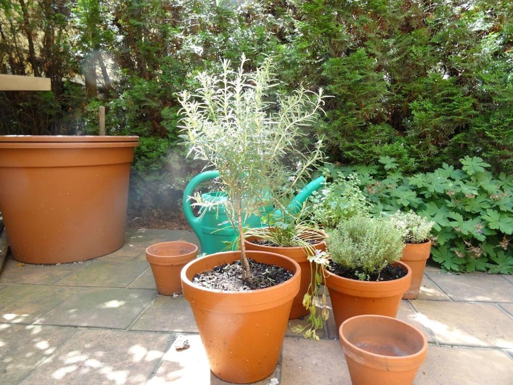 Lejlighed Garden On Art Nouveau Street In *