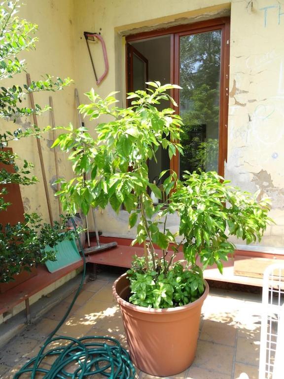 Lejlighed Garden On Art Nouveau Street In Prag